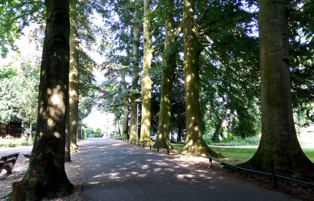 Park Oog in Al-乌特勒支必去景点