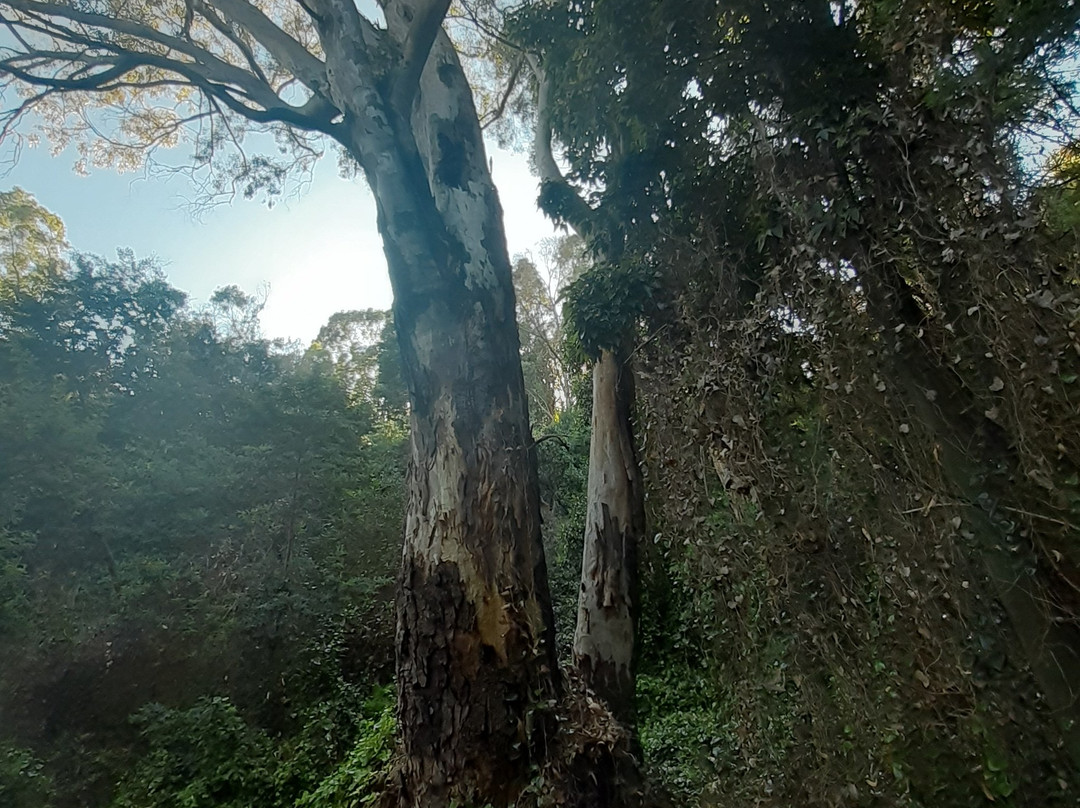 Parc Du Paradou-Golfe-Juan Vallauris必去景点
