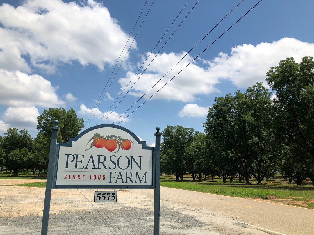Pearson Farm景点图片