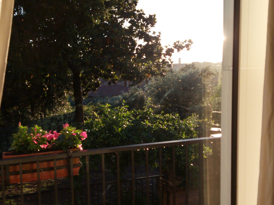 La Casa di Lili主图