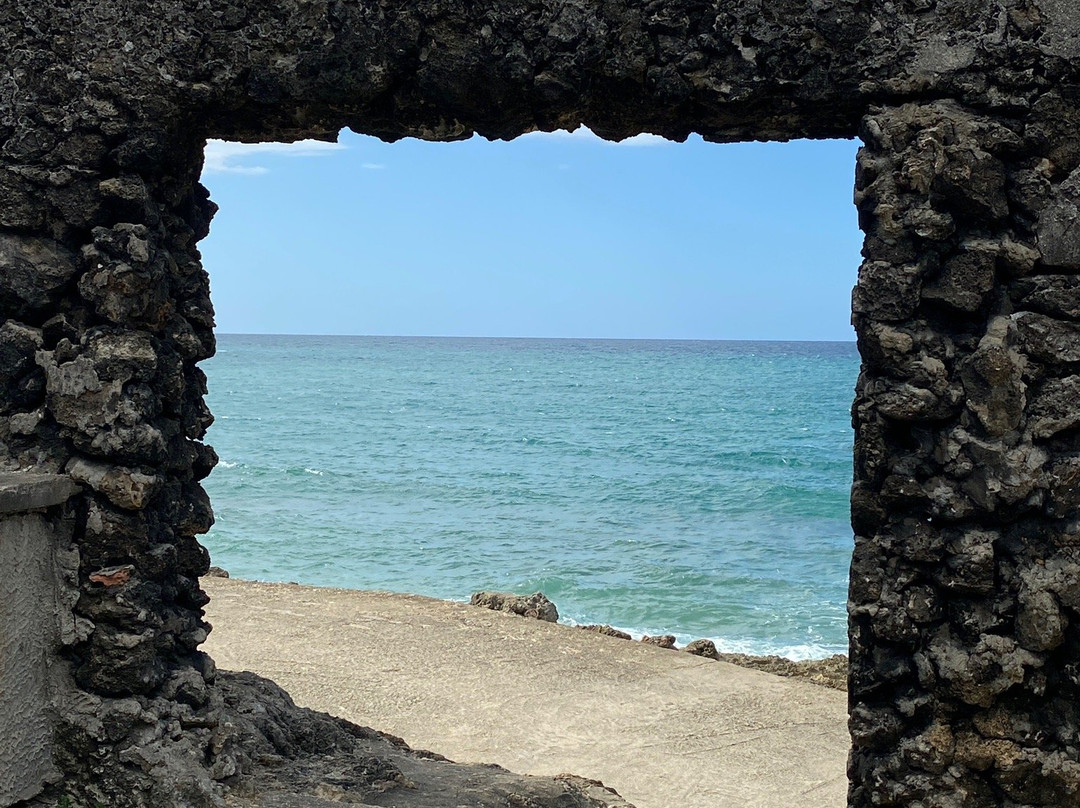 Ruinas de Puerto Hermina景点图片