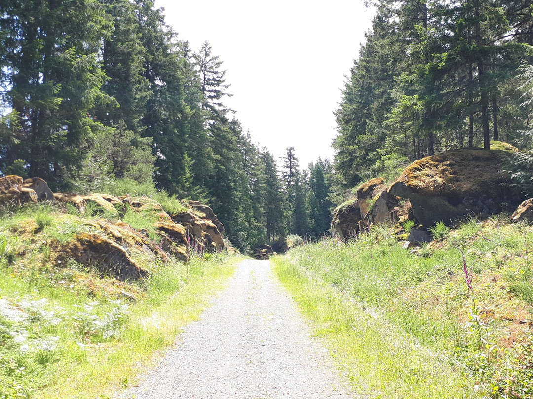 West Shawnigan Lake Provincial Park景点图片