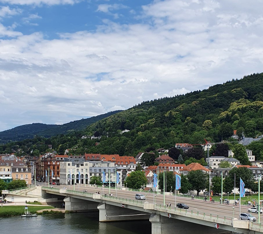 Neckar River-海德尔堡必去景点