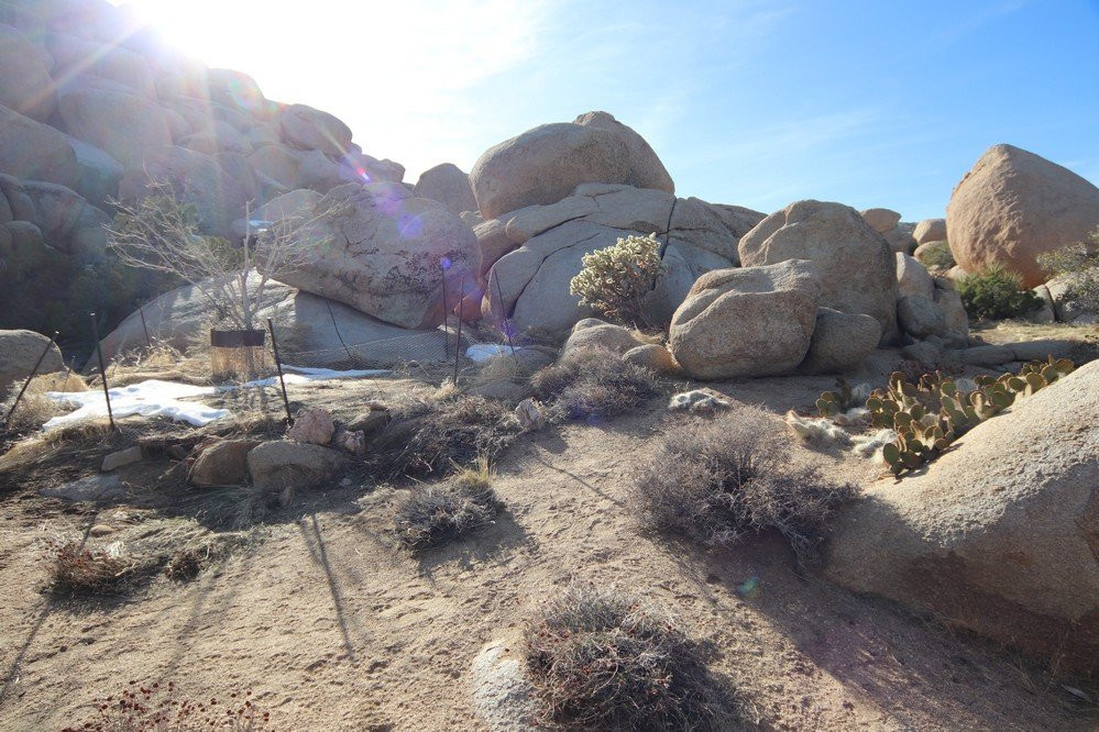 God's Way Love,Pioneertown景点图片