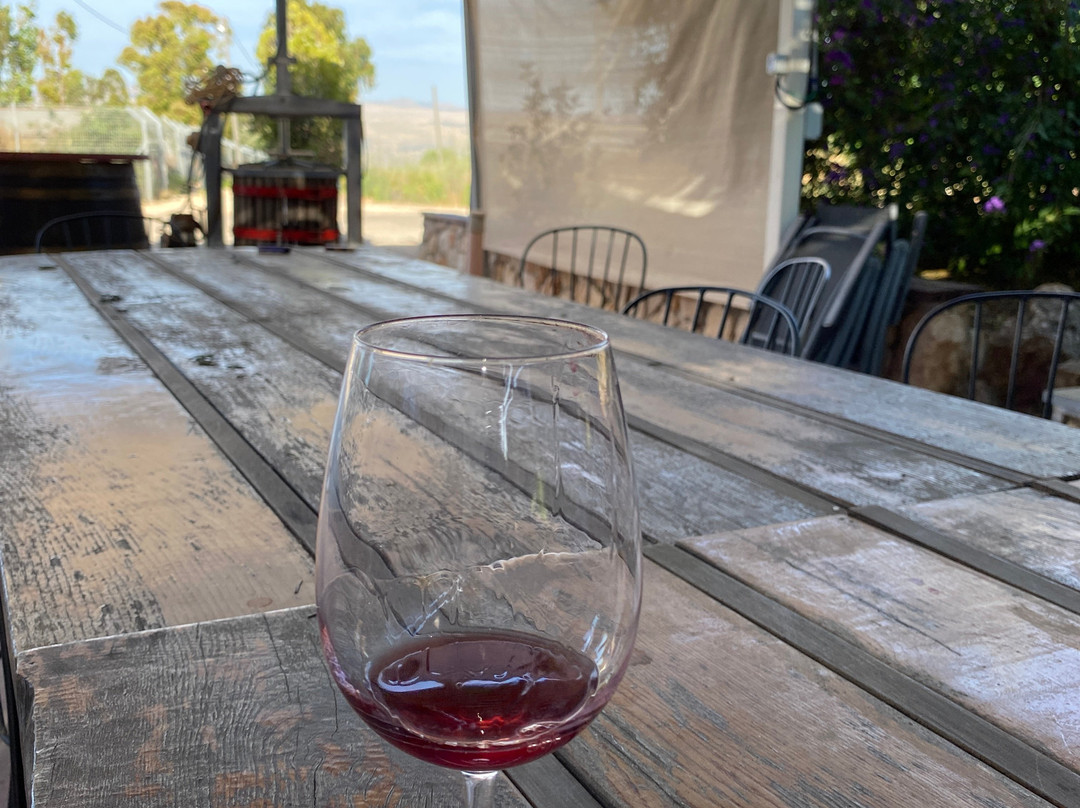3 Vines Winery-Ramot Naftali必去景点