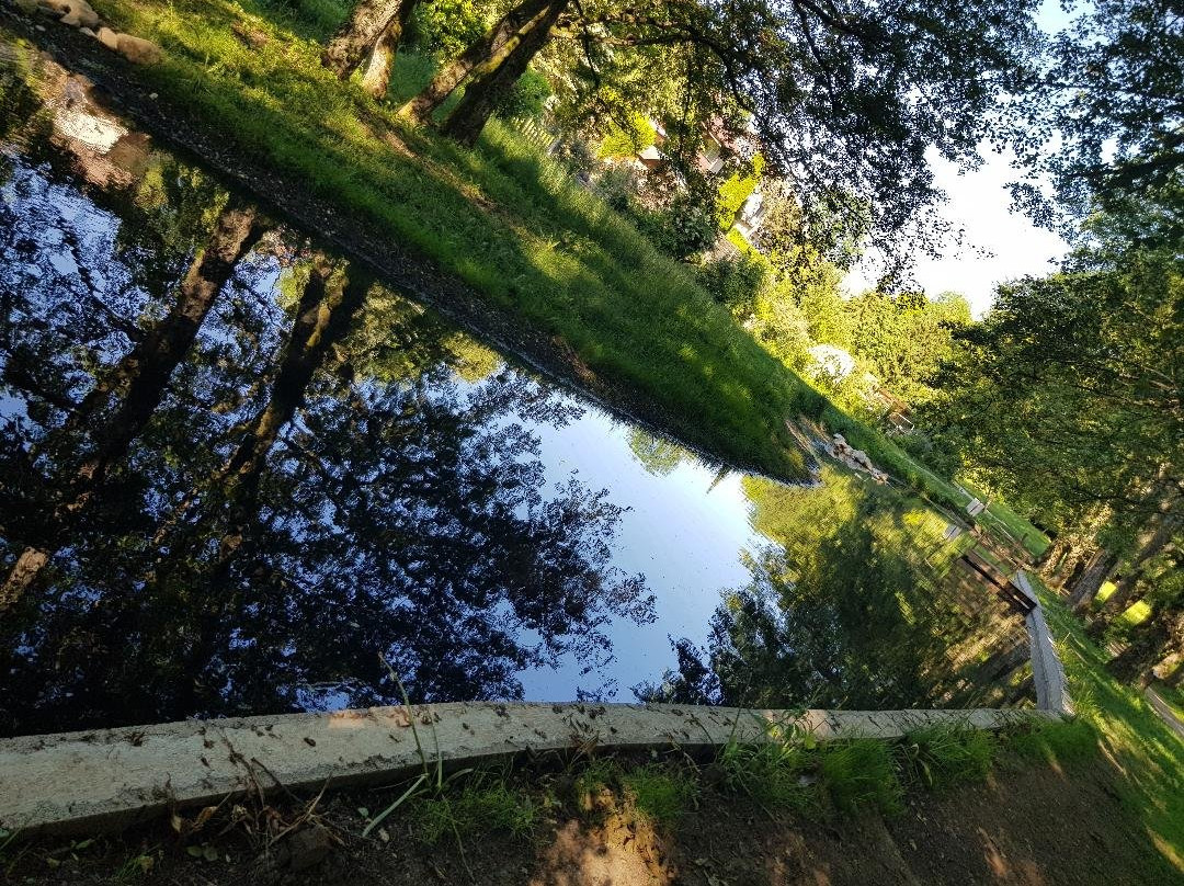 Sentier Botanique Du Pré De Vassy景点图片