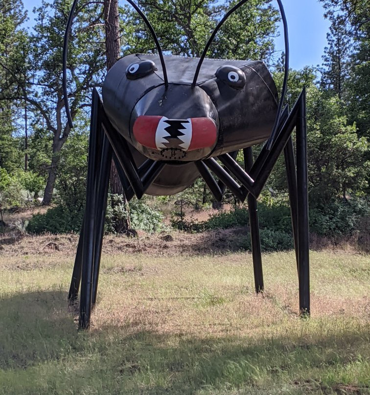 Large Junk Art Sculptures景点图片