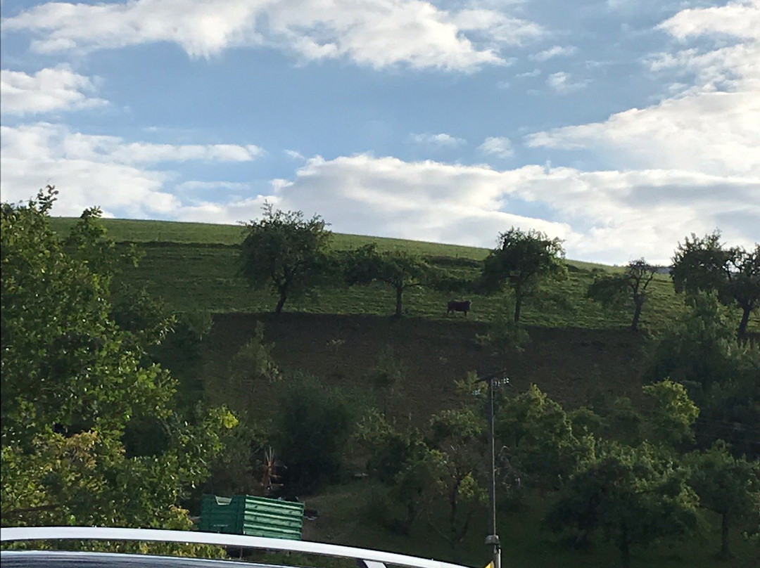 Kirnermarteshof主图