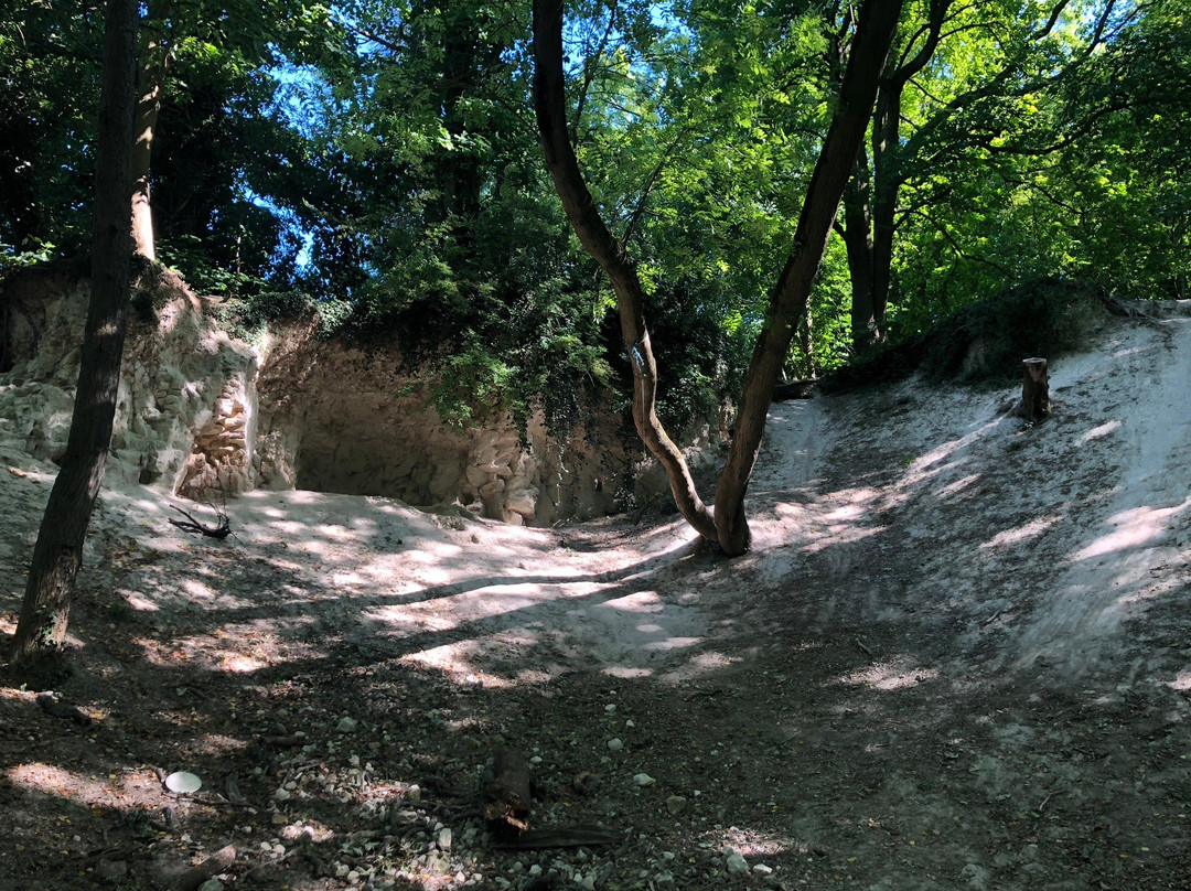 Harlton Clunch Pit and Woods-Harlton必去景点