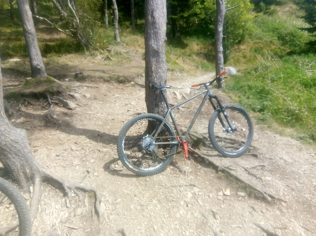 Rostrevor Mountain Bike Trails景点图片