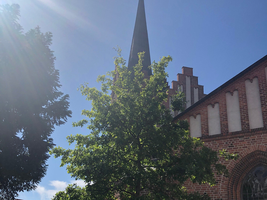Sankt Nikolai Kirke景点图片