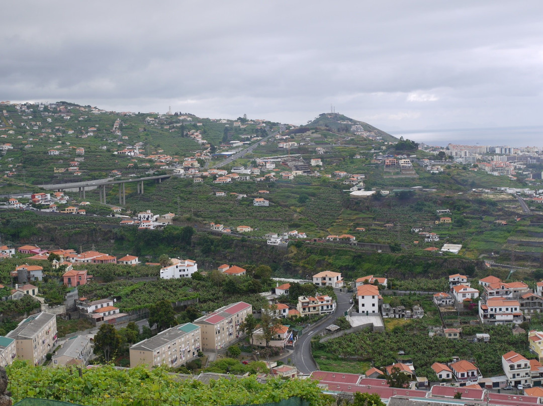 Miradouro do Pico da Torre景点图片