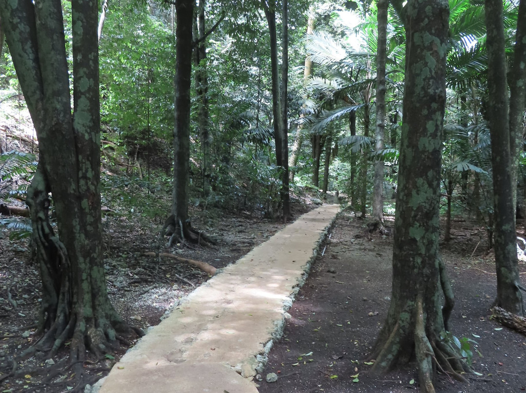 Welchman Hall Gully-Saint Thomas Parish必去景点