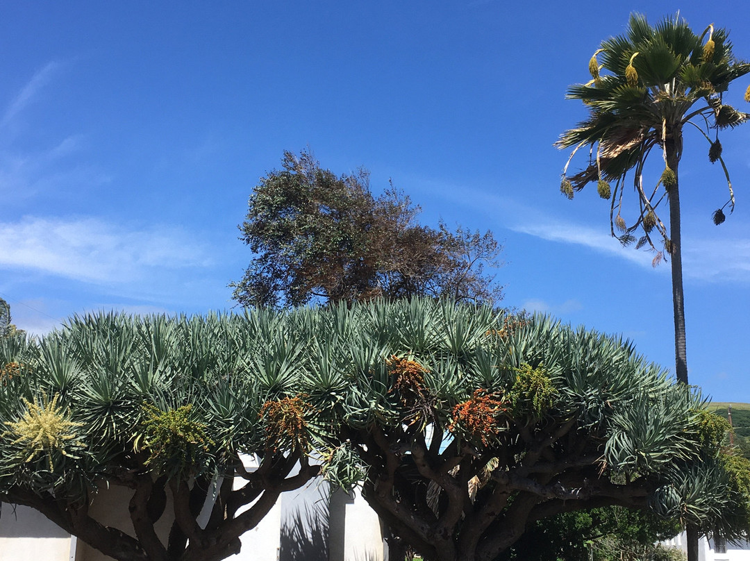 Haleokane Lookout-纳勒胡必去景点