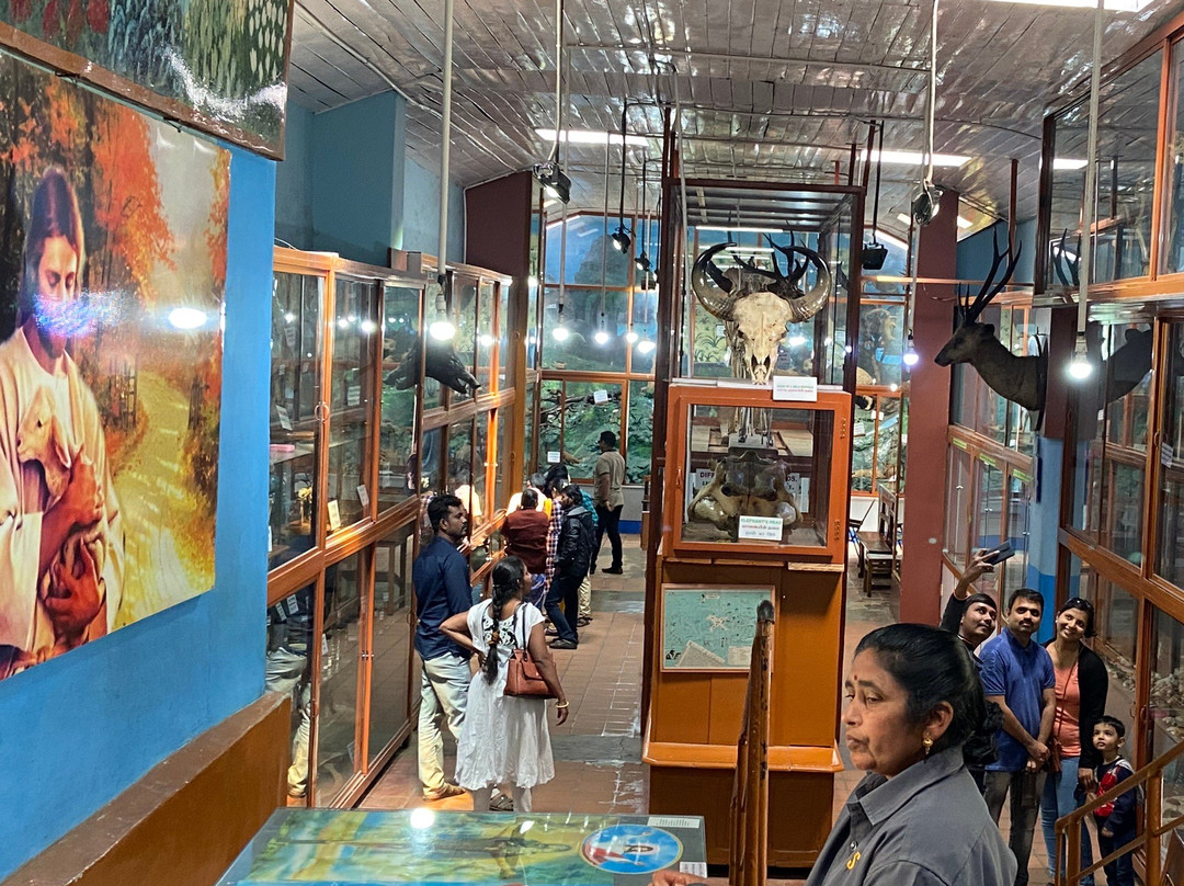 Shembaganur Museum of Natural History景点图片