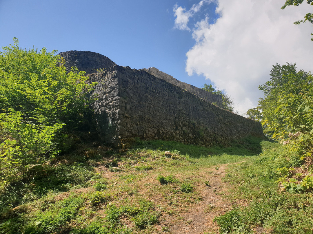 Ruine Frohburg景点图片