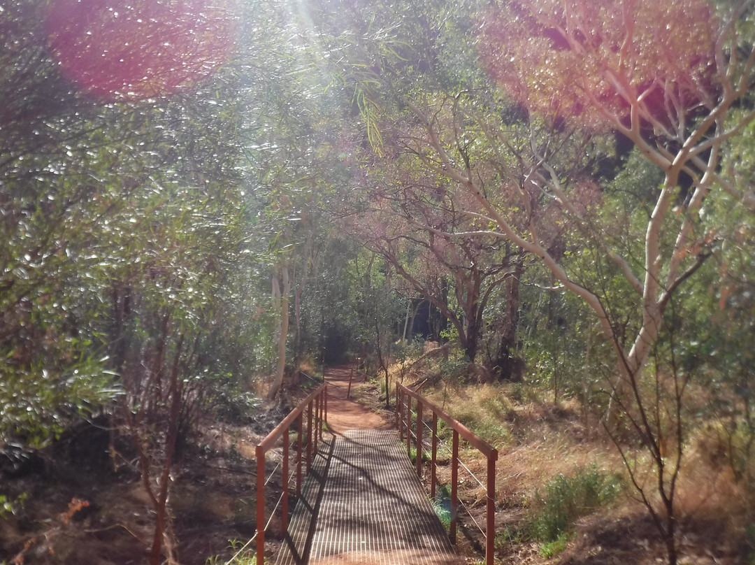 Mutitjulu Waterhole-乌鲁鲁-卡塔丘塔国家公园必去景点