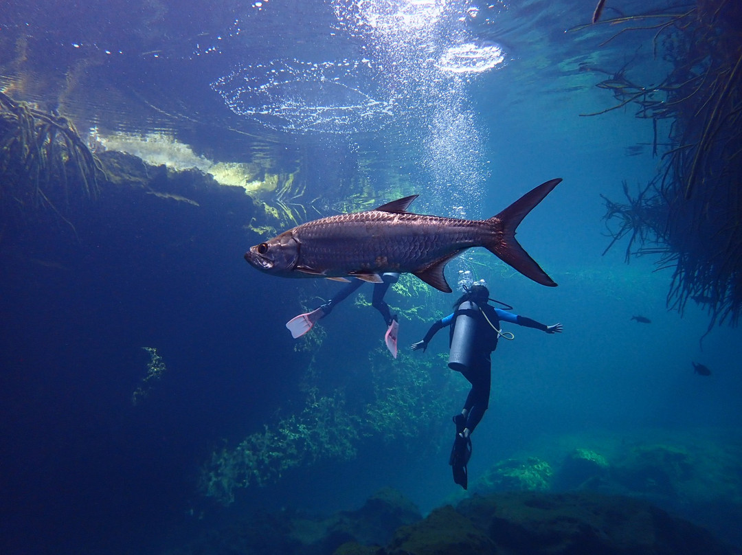 Tankah Divers Tulum-图伦必去景点