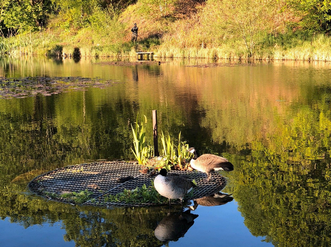 Prestwich Forest Park-曼彻斯特必去景点