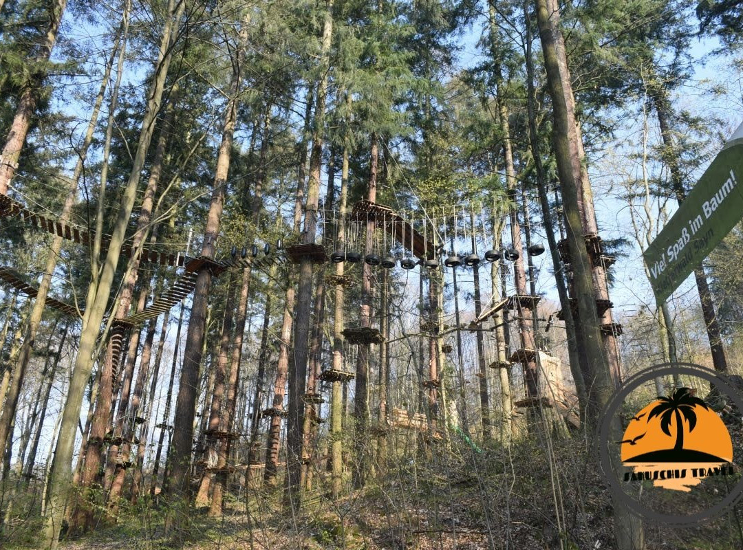 Kletterwald Sayn景点图片