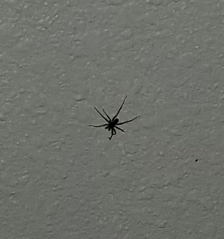 Quality Inn - US65 & East Battlefield Rd.主图