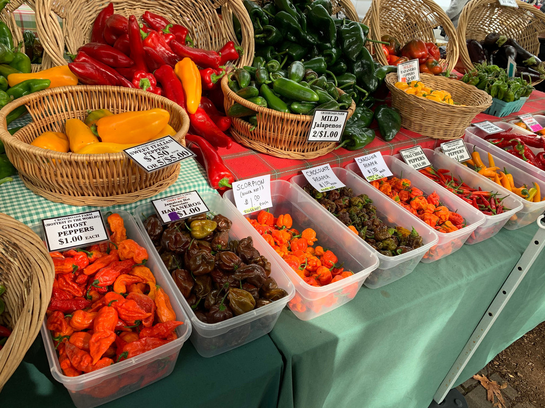 Eugene Saturday Market-尤金必去景点