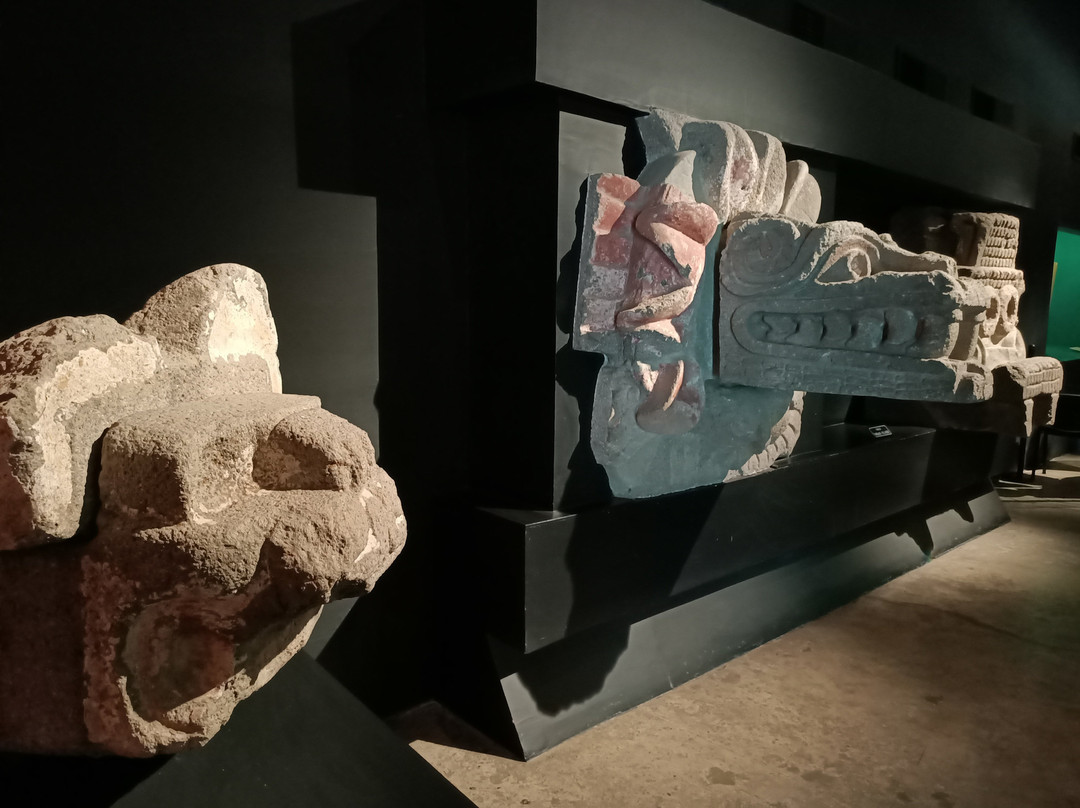 Museo de Sitio Teotihuacan景点图片