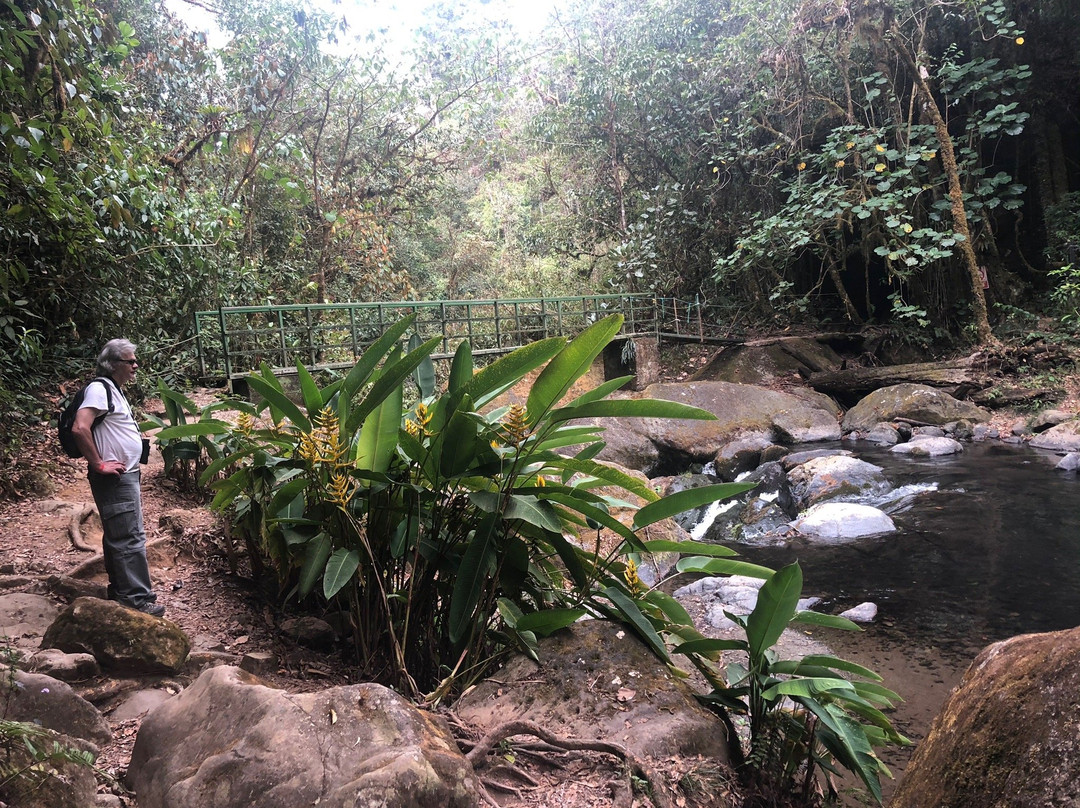 Rio savegre Waterfall景点图片