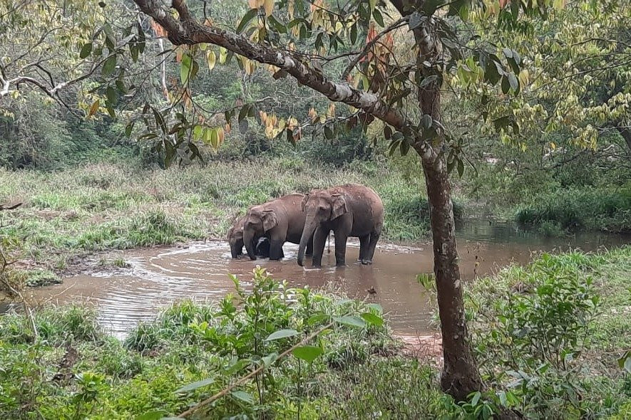 Green Kerala Tours & Travels景点图片