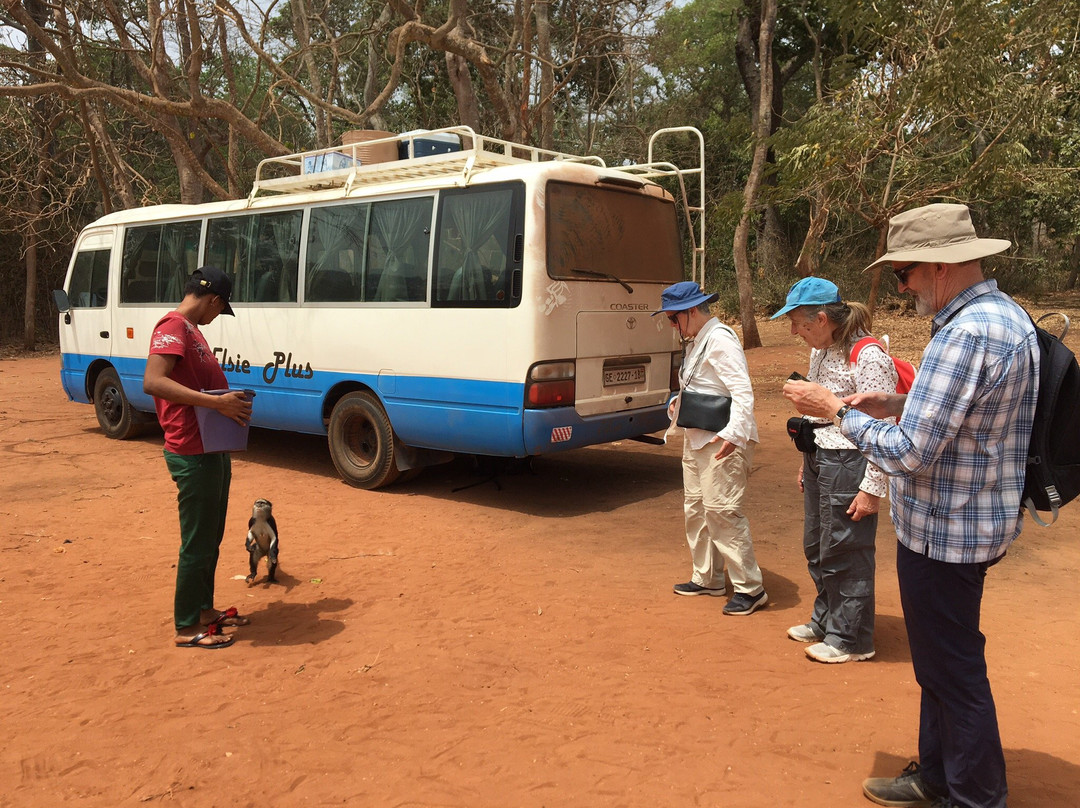 Grassroot Tours Ghana-Tamale必去景点