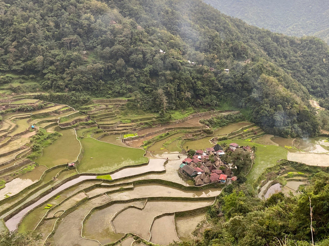 Bangaan Ifugao Rice Terraces景点图片