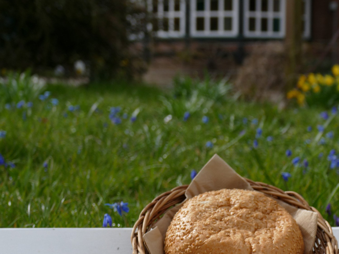 Landgasthof Kasch主图