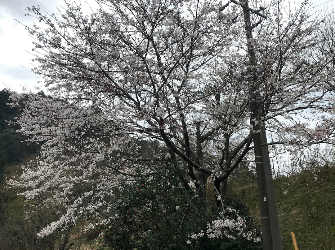 Goriyaku no Yu-大多喜町必去景点