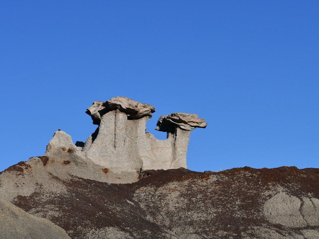 Bisti/De-Na-Zin Wilderness-Bloomfield必去景点
