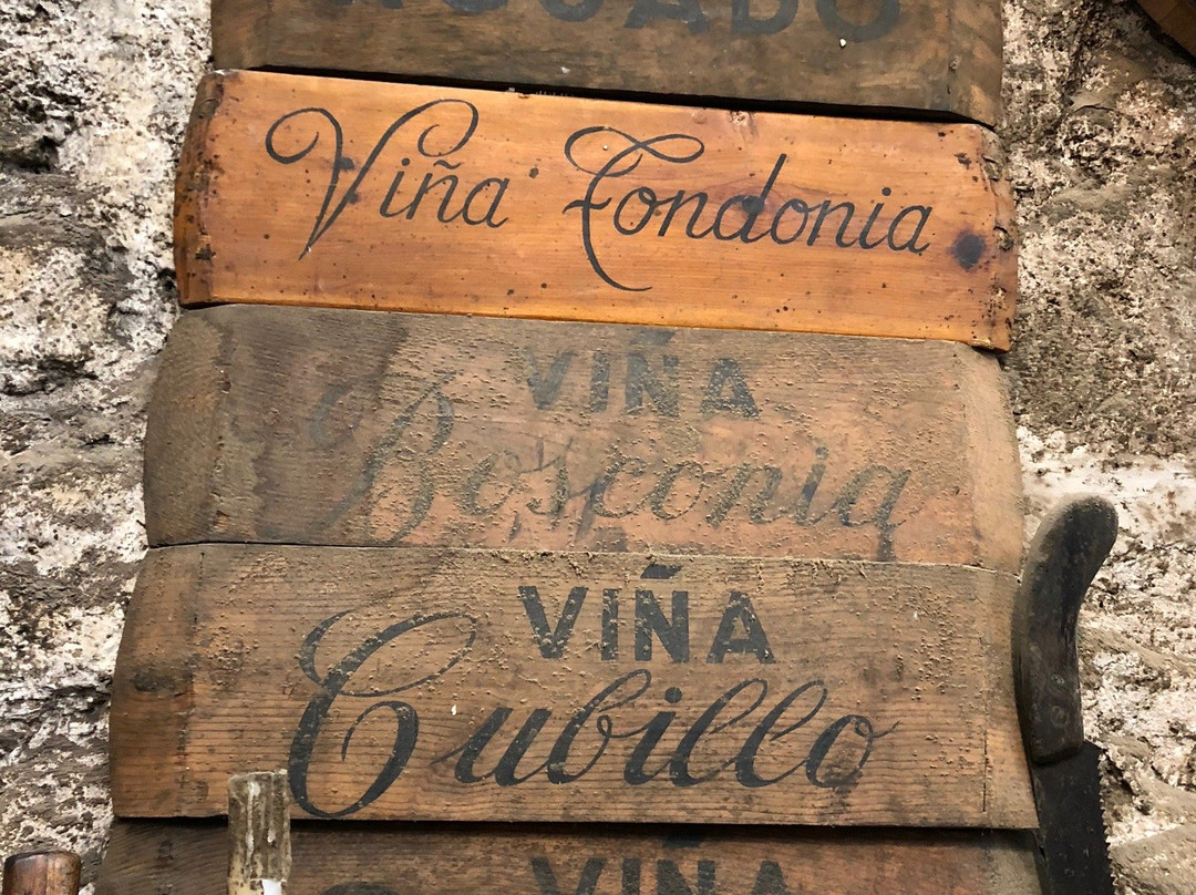 Rioja Wine Tours-洛格罗尼奥必去景点