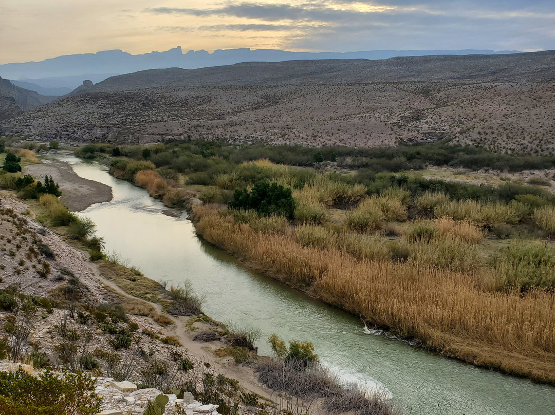 Rio Grande Village Nature Trail景点图片
