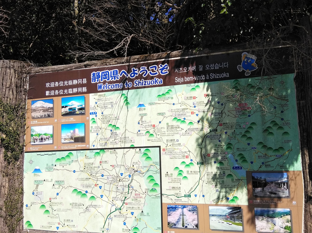 Ashigara Toge Joshi Park景点图片