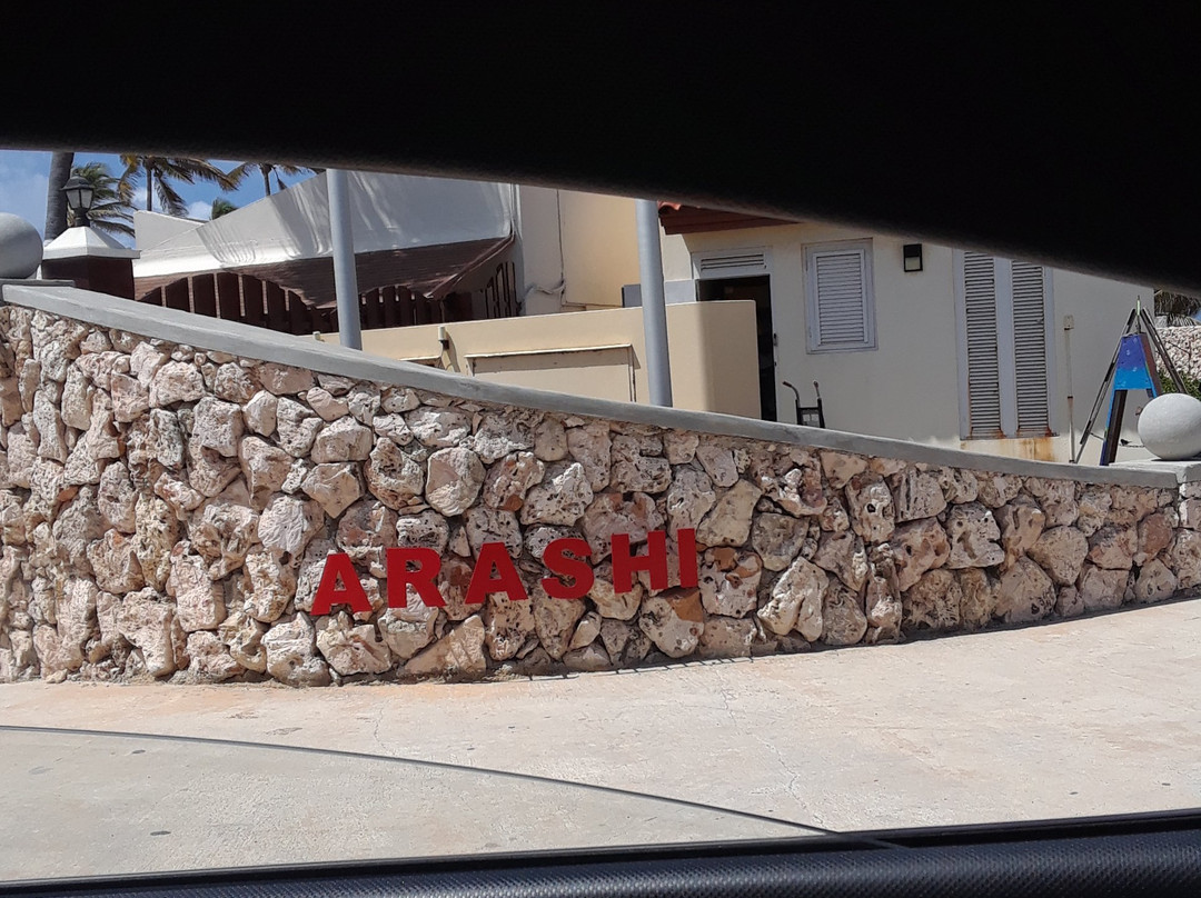 Arashi Beach-Arashi必去景点