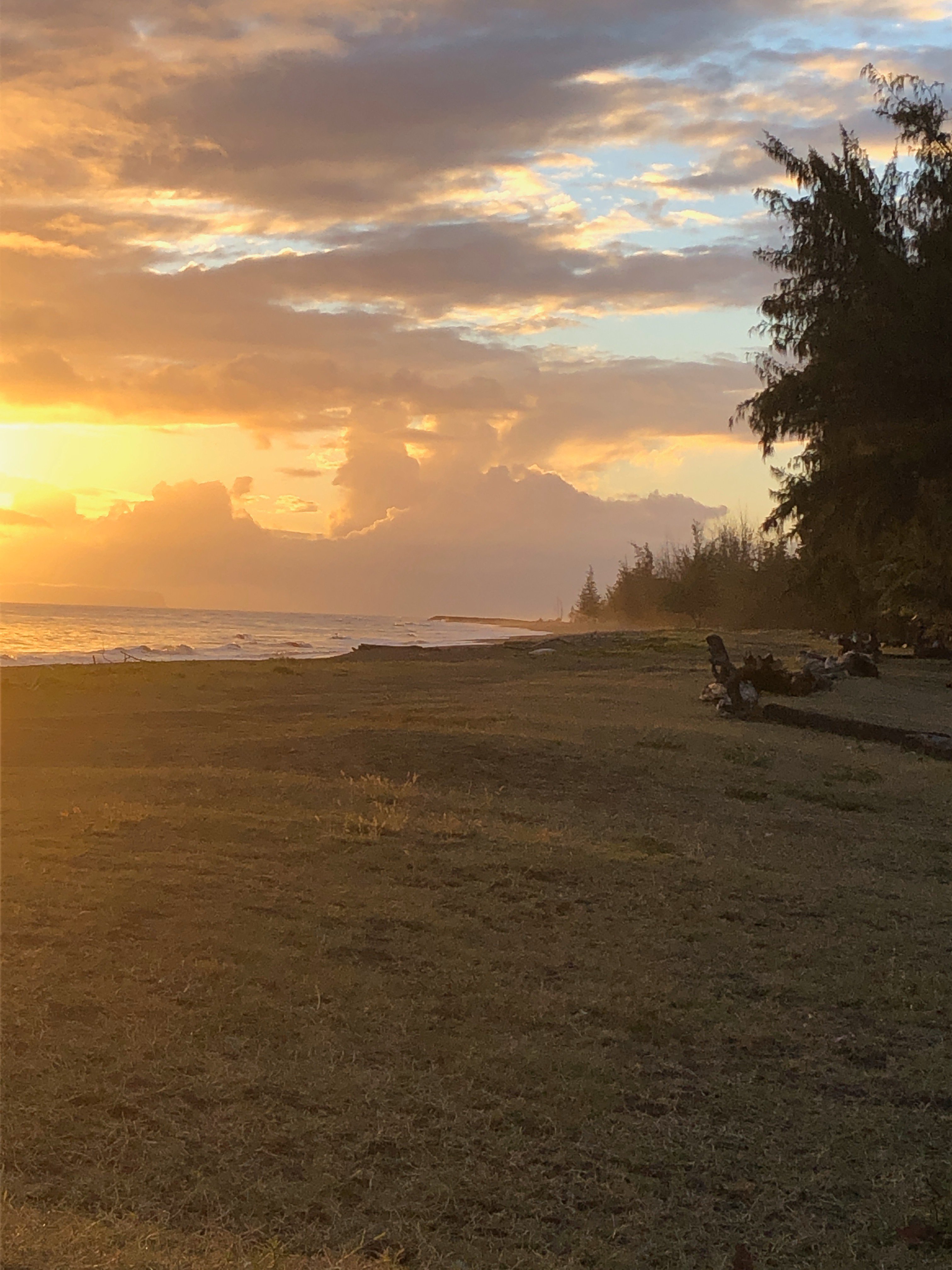 Waimea Plantation Cottages-泳池