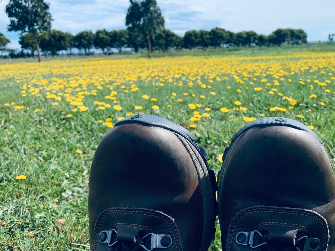 Caldermeade Farm and Cafe-Caldermeade必去景点
