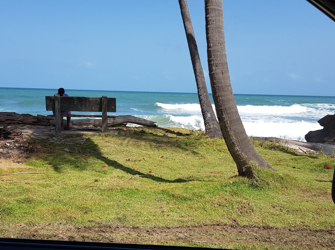 Galera Point - Toco Lighthouse景点图片