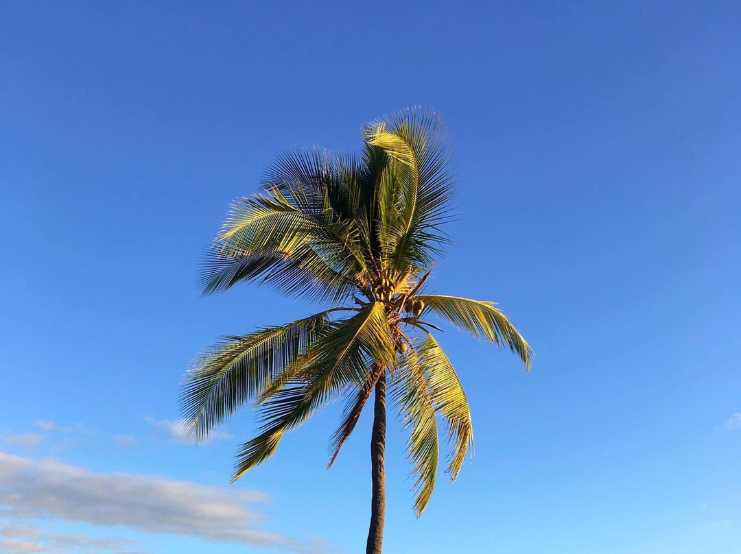Old Kona Airport State Recreation Area-凯鲁瓦-柯纳必去景点