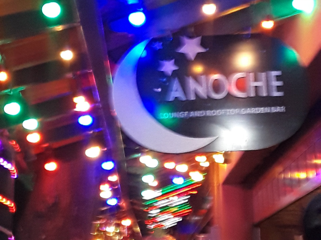 Bar La Noche-瓦拉塔港必去景点