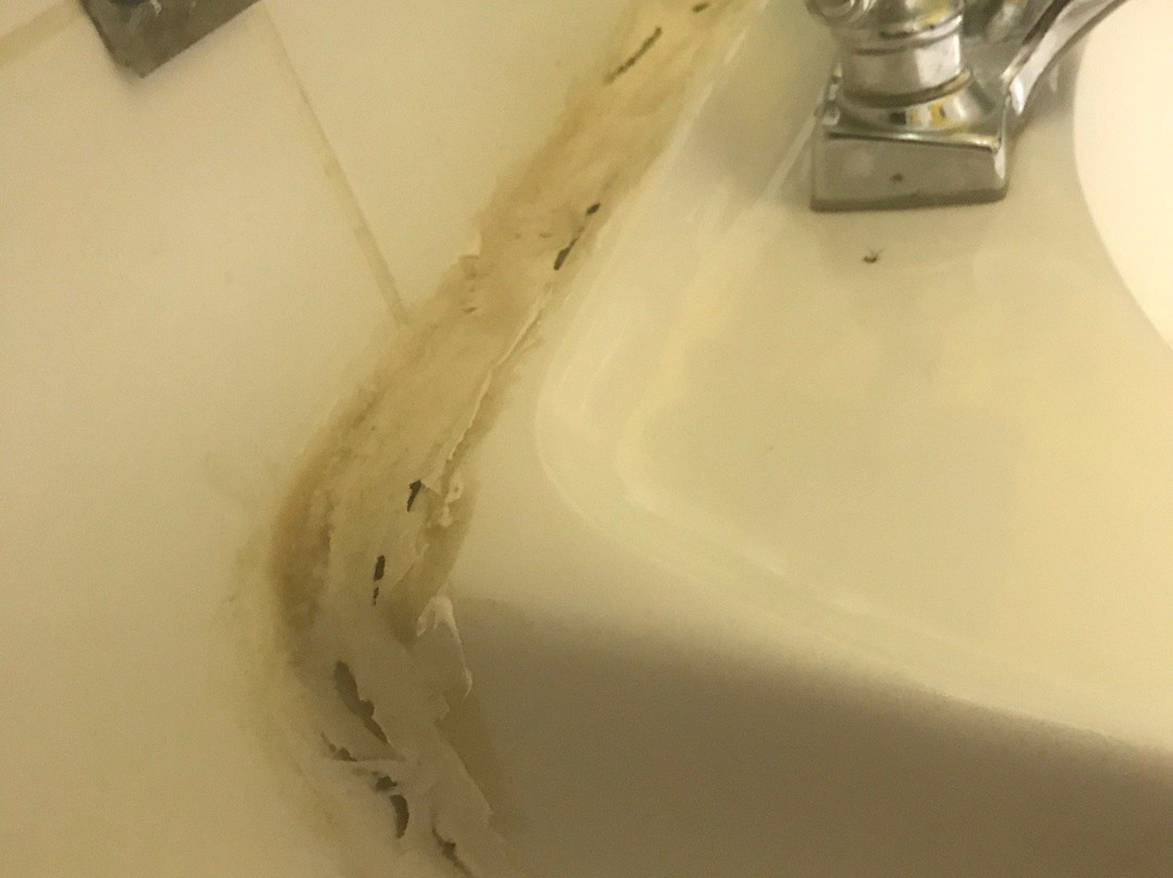 Coco Palm Garden & Casa Oleander主图