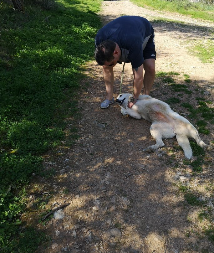 Kyrenia Animal Rescue-克利尼亚必去景点
