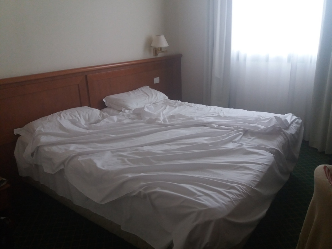 Phi Hotel Emilia主图
