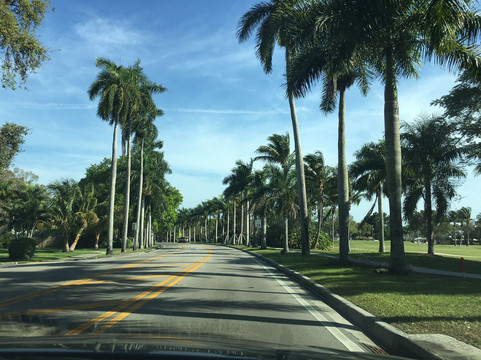 McGregor Boulevard-迈尔斯堡必去景点