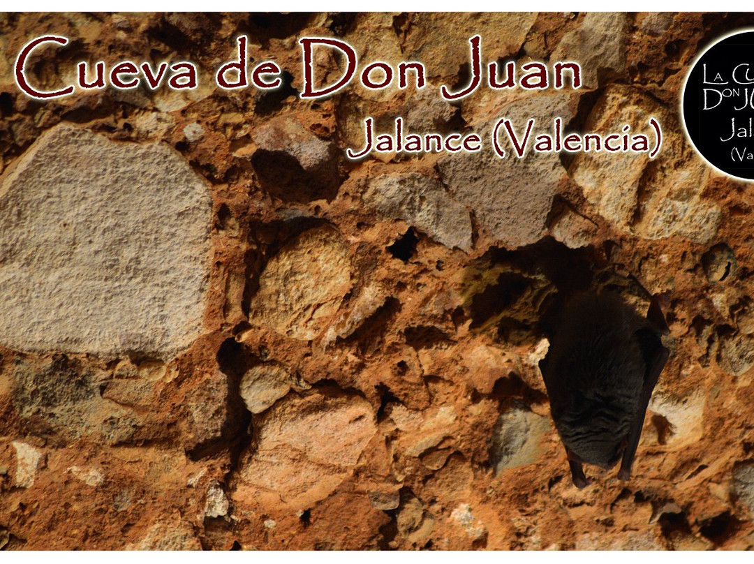 Cueva de Don Juan景点图片