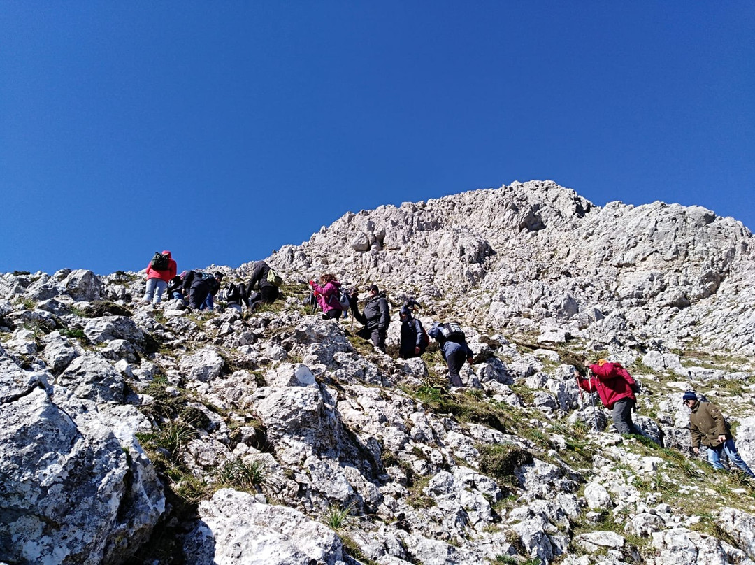 Rocca di Novara景点图片