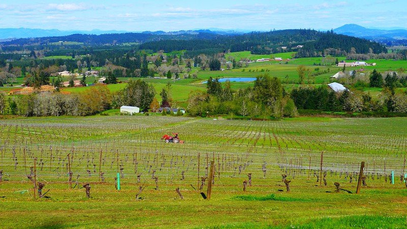 Sarver Winery-尤金必去景点